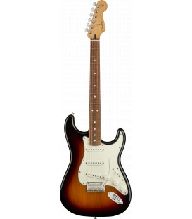 Fender Player Stratocaster pau ferro