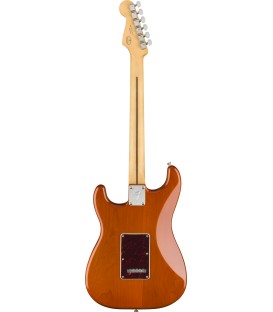 Fender Player Stratocaster, Pau Ferro Fingerboard, Aged Natural