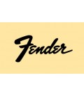 Fender Amplifiers